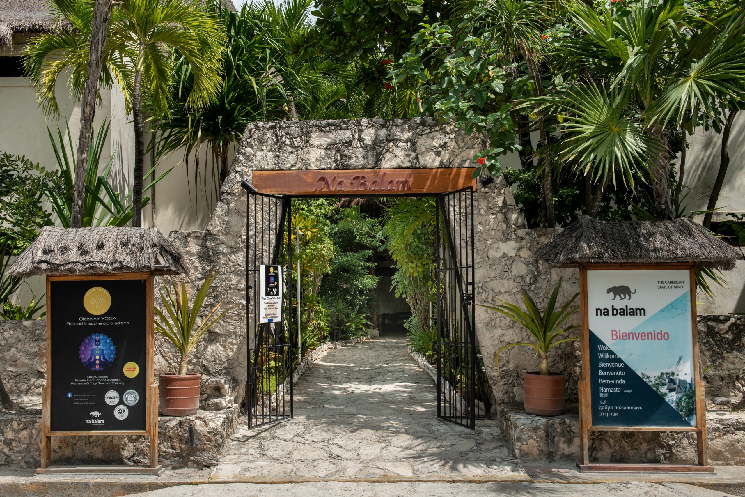 CDP_0001-para-web-scaled