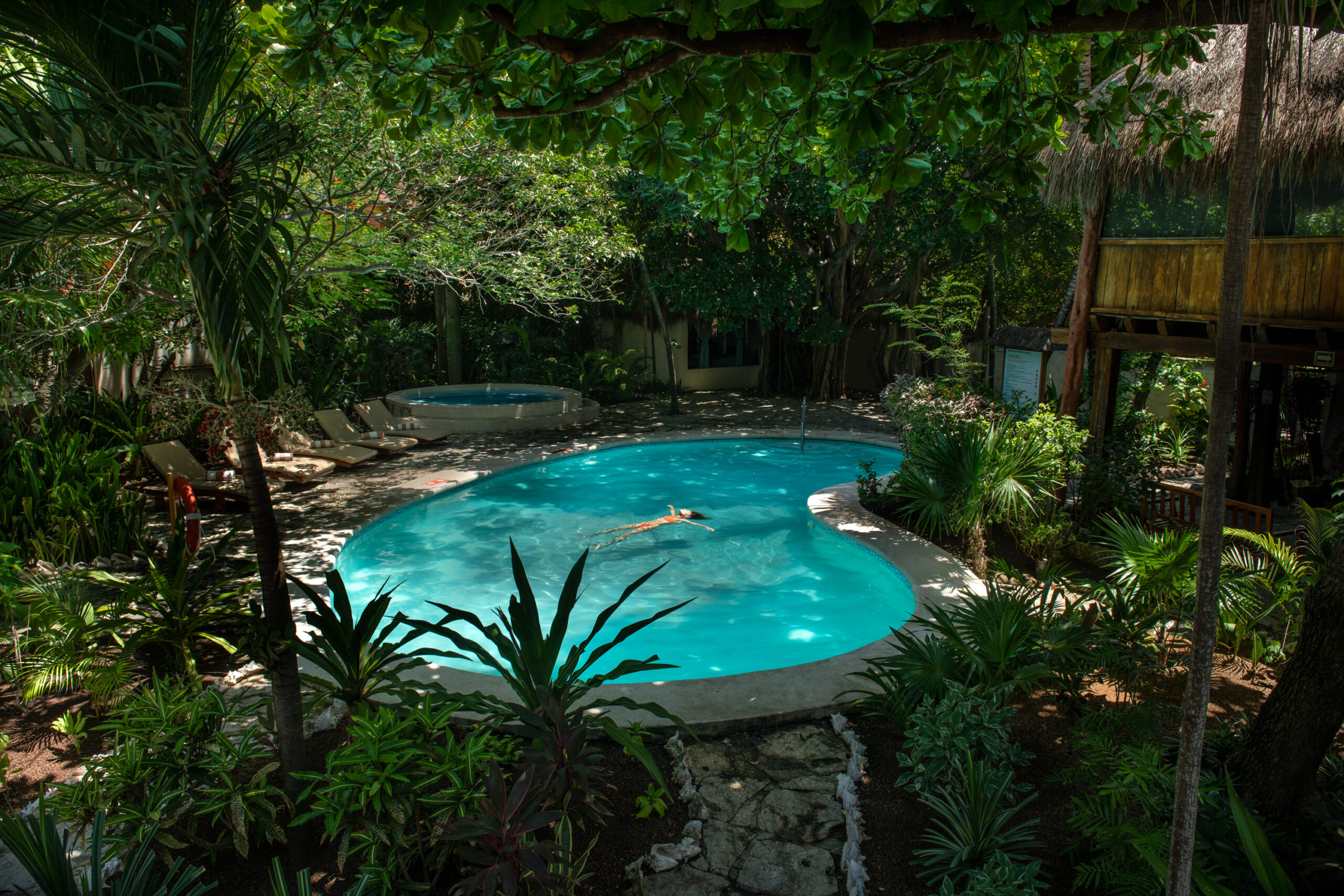 CDP_0012-para-web-scaled