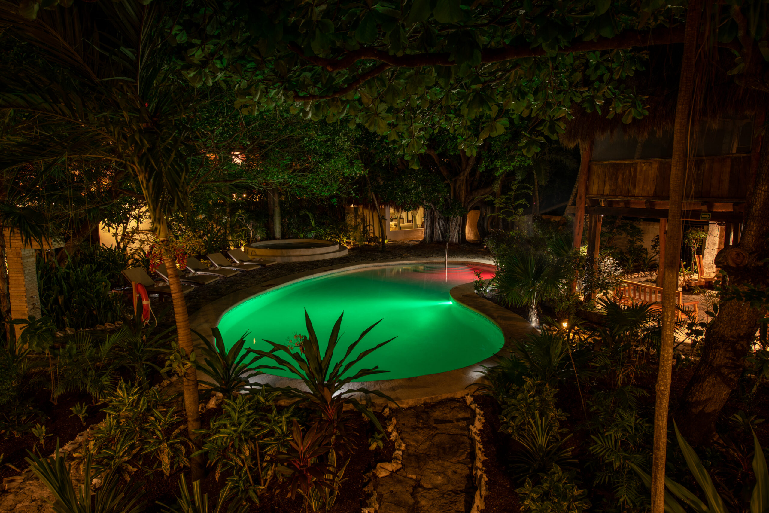 CDP_0038-para-web-scaled