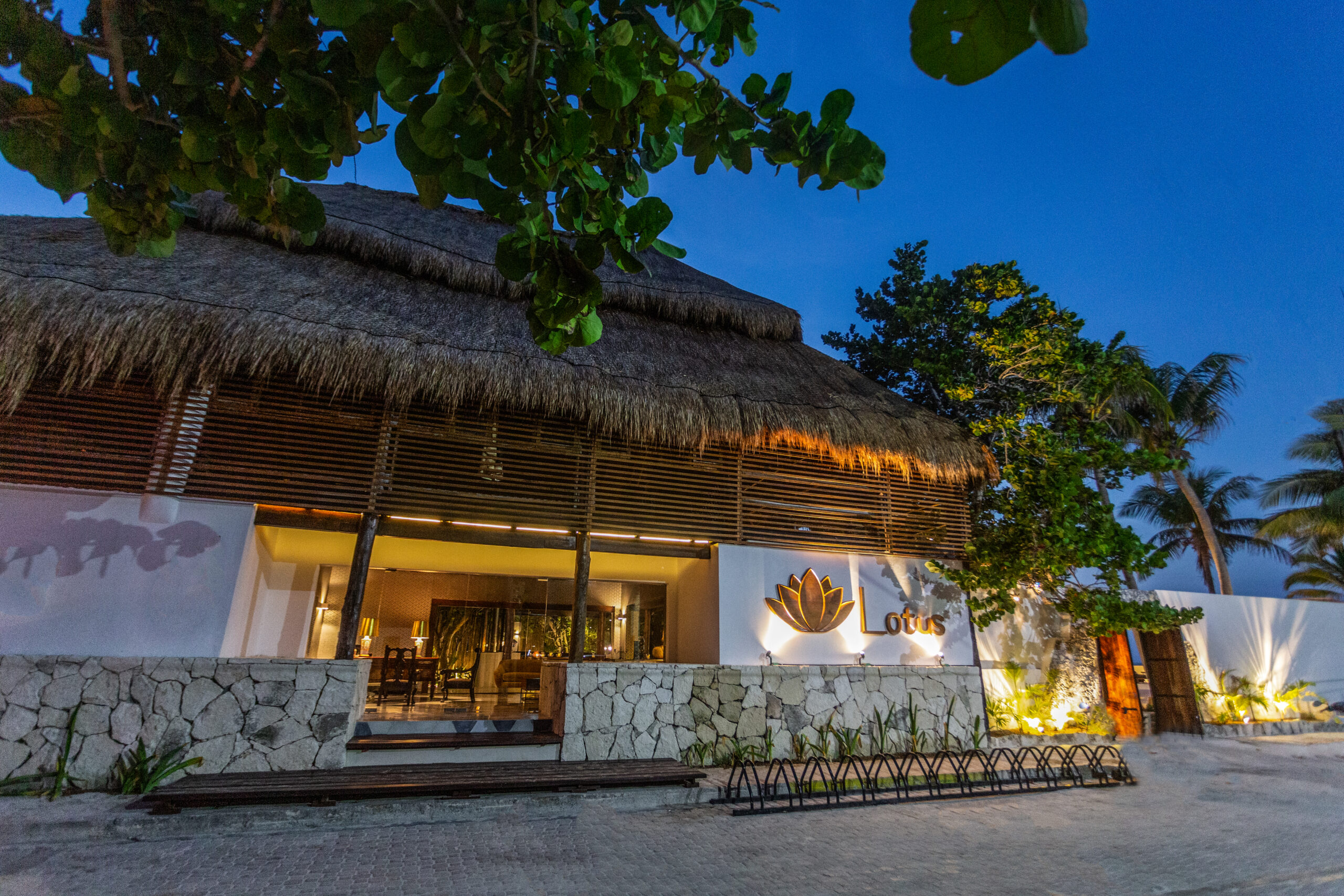 lotussinlogo2-12-scaled